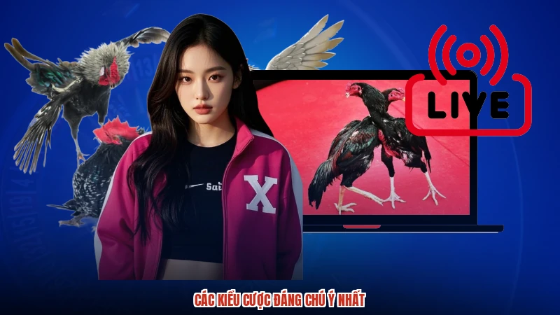 Các kiểu cược đáng chú ý nhất