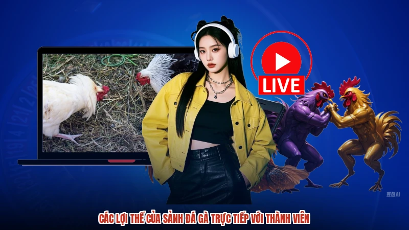 Các lợi thế của sảnh đá gà trực tiếp với thành viên