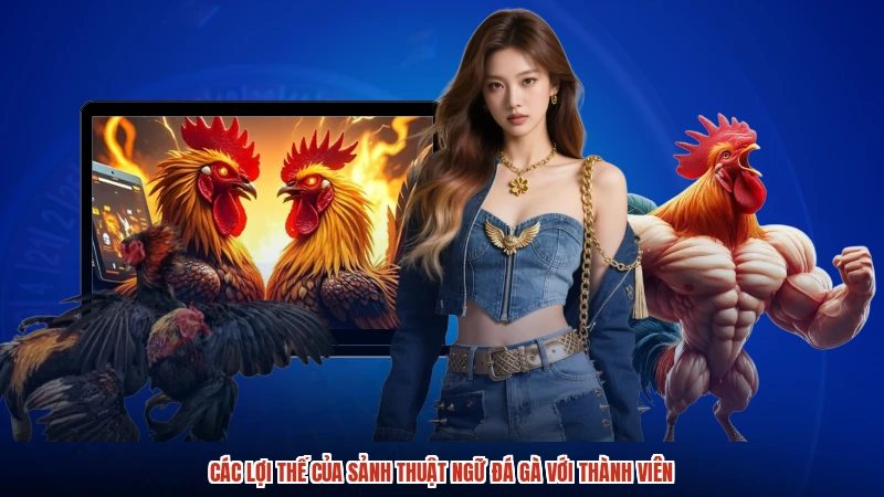 Các lợi thế của sảnh thuật ngữ đá gà với thành viên