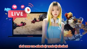 Đá Gà Thomo 123B: Điểm Nổi Bật Thu Hút Hội Viên Gắn Bó