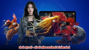Đá Gà Trực Tiếp - Đầy Đủ Thông Tin Cần Biết Về Sảnh Đá Gà