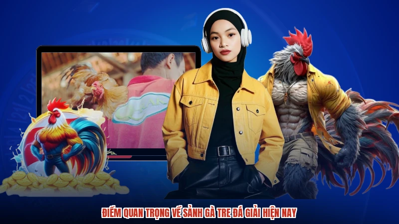 Điểm quan trọng về sảnh gà tre đá giải hiện nay