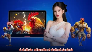 Gà Đá Tiền Lớn - Những Trường Gà Và Mức Trả Kèo Hấp Dẫn