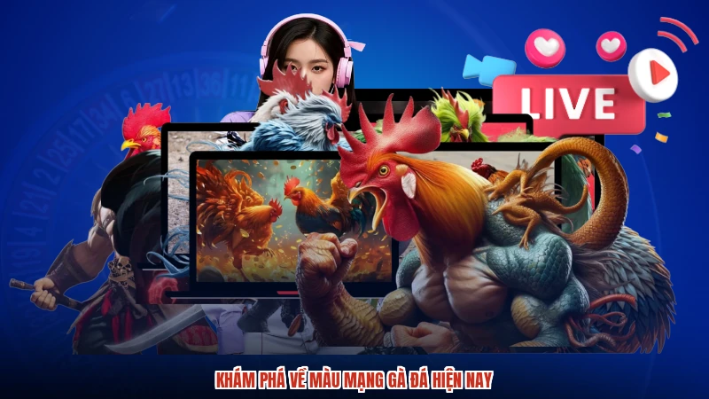 Khám phá về màu mạng gà đá hiện nay