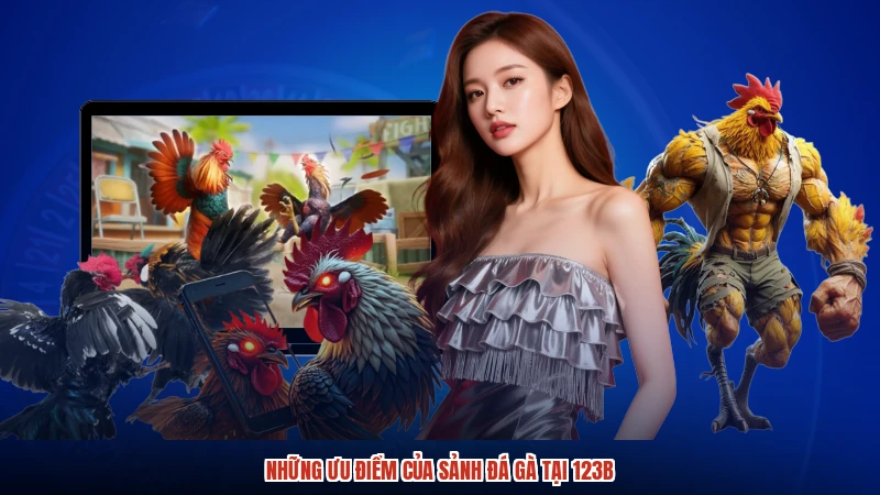 Những ưu điểm của sảnh đá gà tại 123B